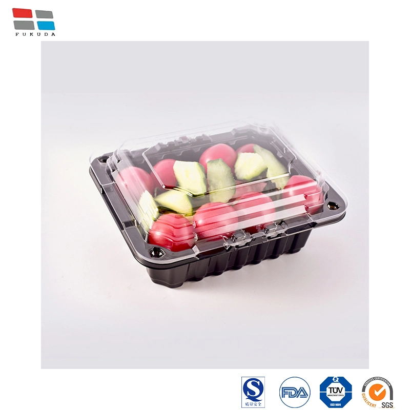 Fukuda Package China Packaging of Fruits and Vegetables Factory Food Packaging Container Pet Material Lychee Packaging for Fruit Packaging