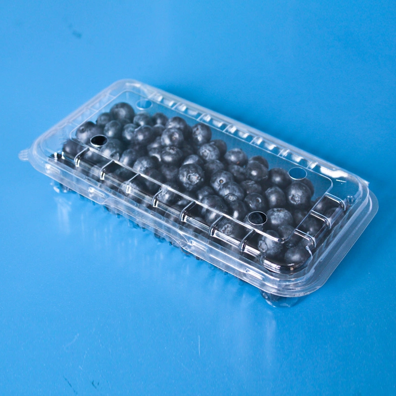 Disposable Fruit Packaging Plastic Pet Blister Food Container Packaging