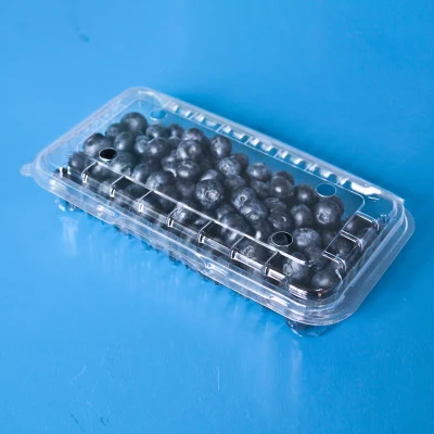 Disposable Fruit Packaging Plastic Pet Blister Food Container Packaging